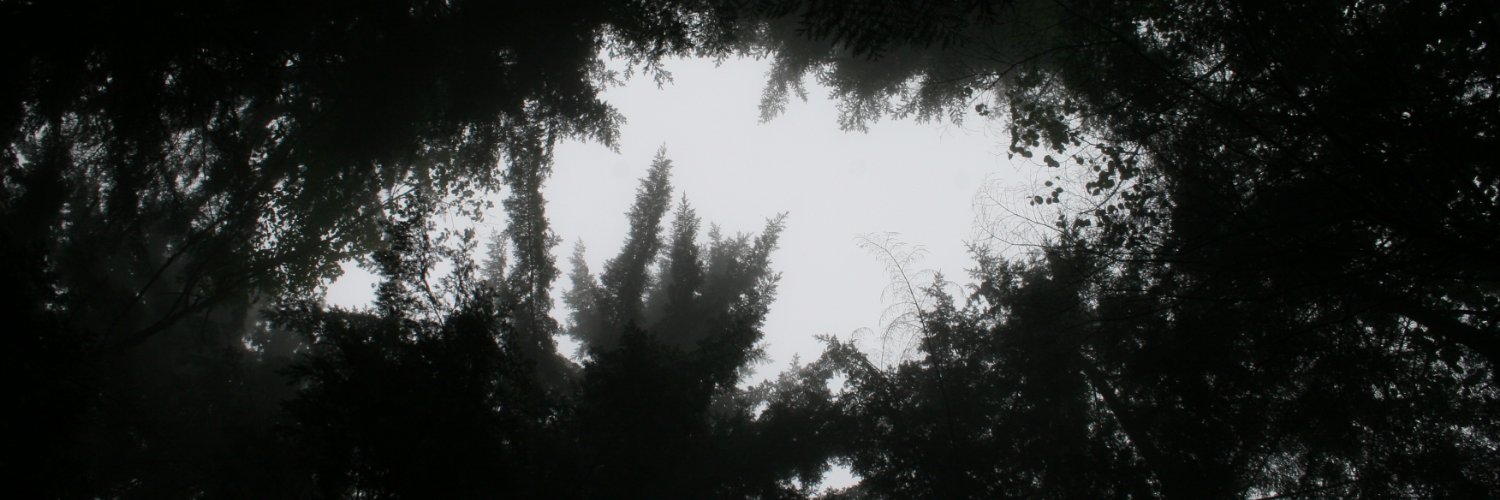 gavinaword's profile banner image