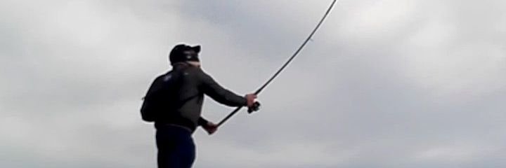 SrForner's profile banner image