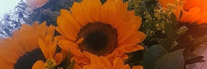 fabioduarte13's profile banner image