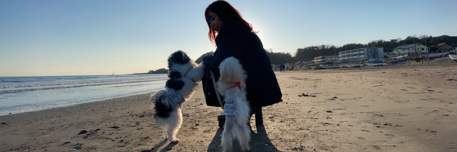 koto_fukuda's profile banner image