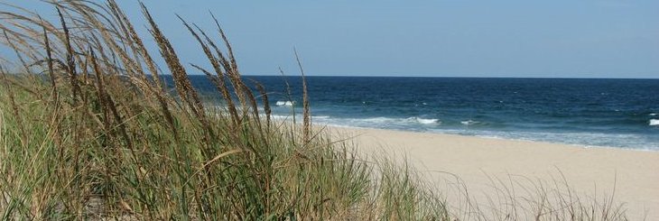 𝕋𝕚𝕗𝕗𝕒𝕟𝕪 𝕄𝕠𝕦𝕥𝕚𝕤 banner