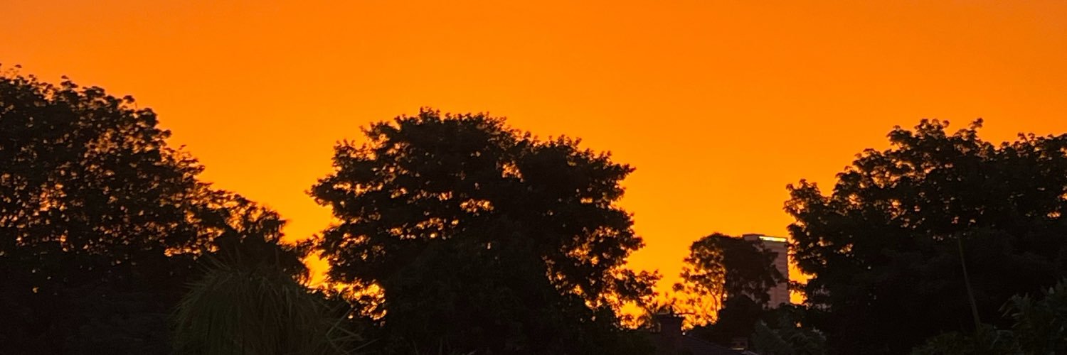 dfigbra1978's profile banner image