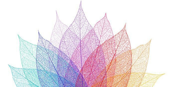 masriyani04's profile banner image