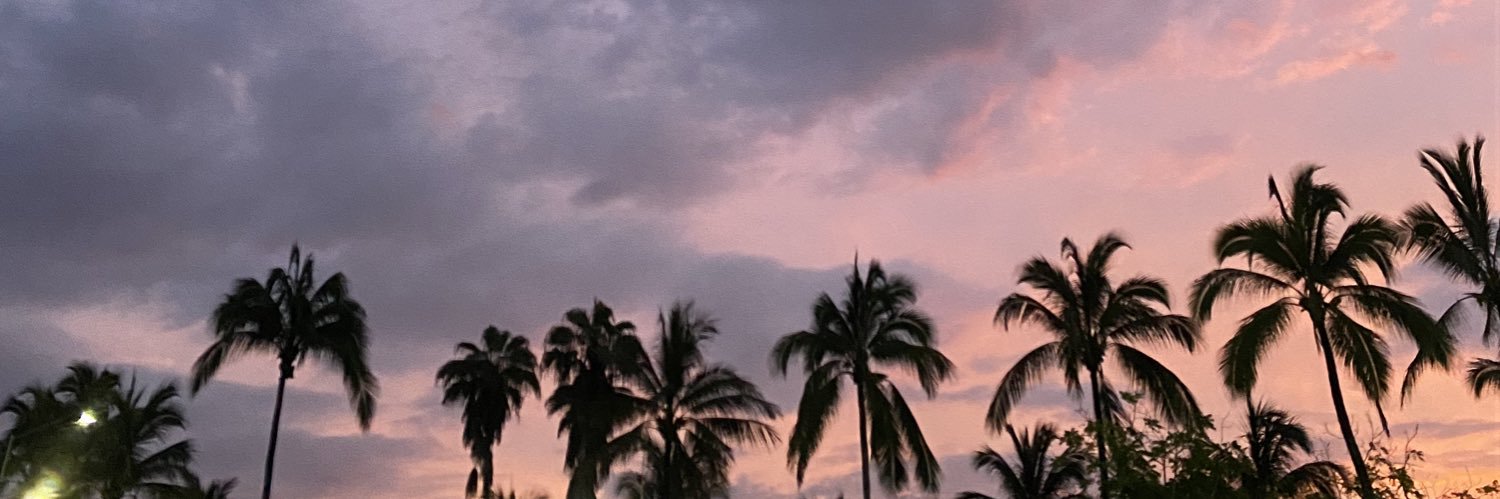 chuylopezrm's profile banner image