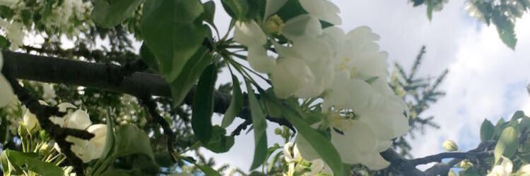 SugarTitsSarah's profile banner image