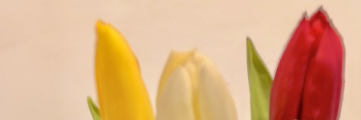 VirgiHc's profile banner image