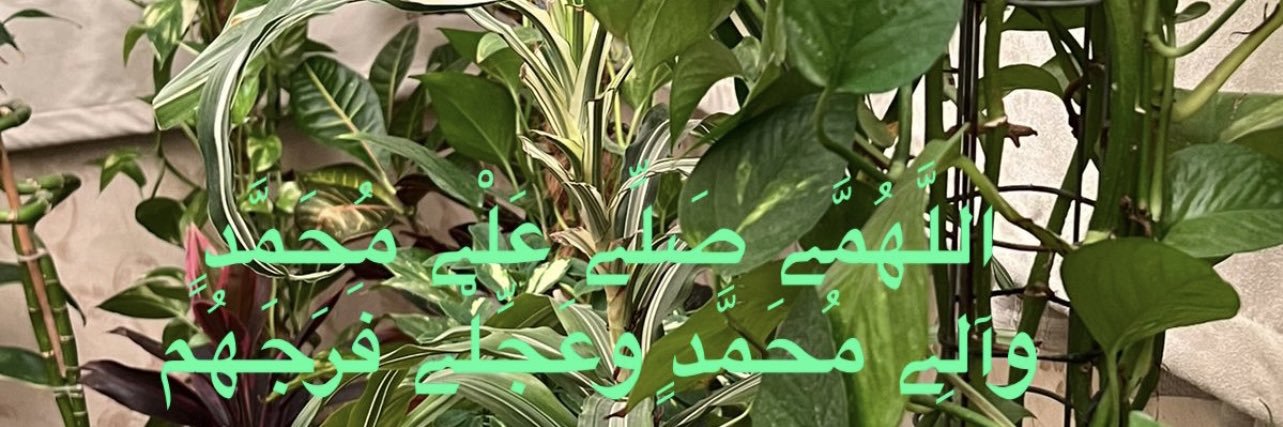 صادق الوعد (منعم} banner