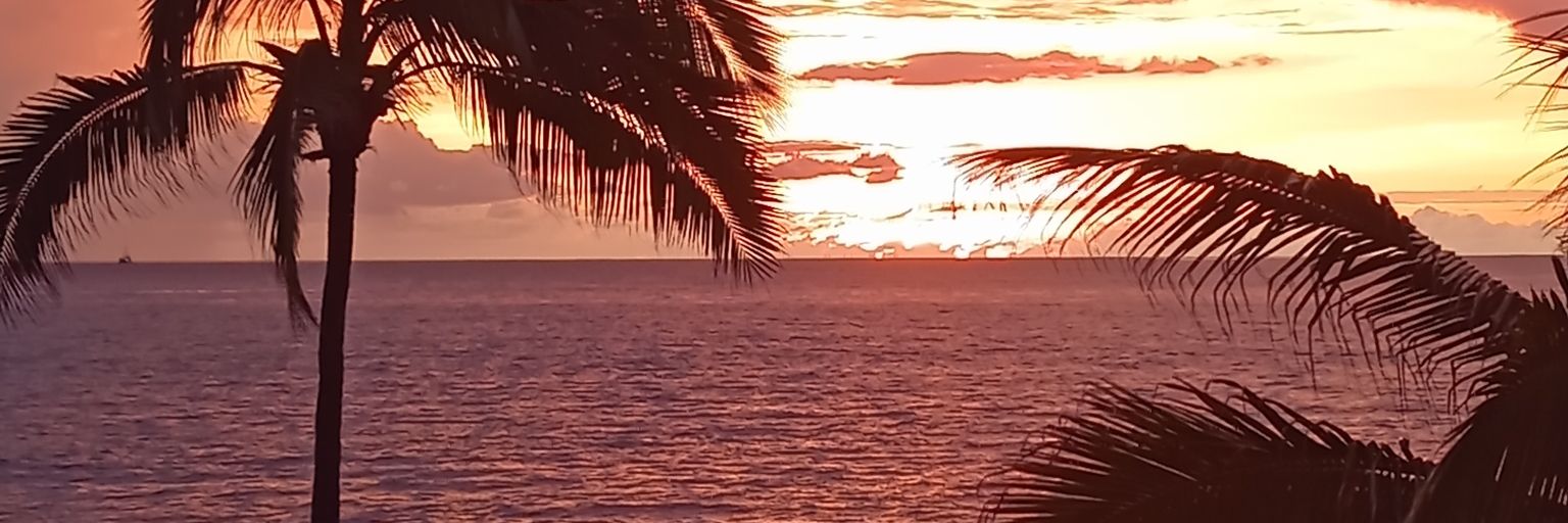 mavevi1964's profile banner image