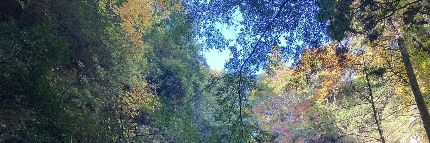 tomabo33's profile banner image