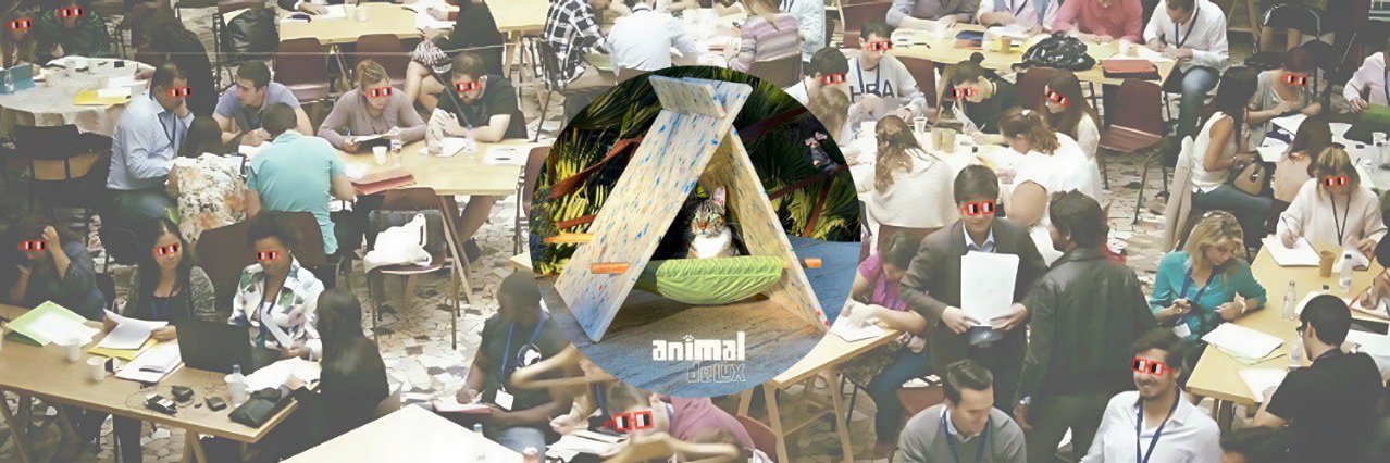 🐈🙀🐈‍⬛Animal deLux.eth🔼 nounish ⌐◨-◨ tribe banner