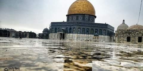 IslamMa1994's profile banner image