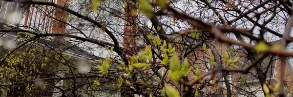 y_lefang Profile Banner