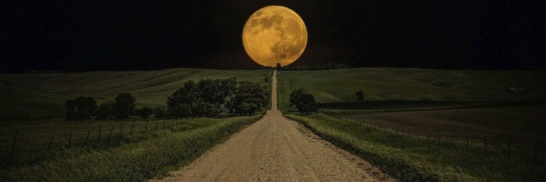 Strong Genetics banner