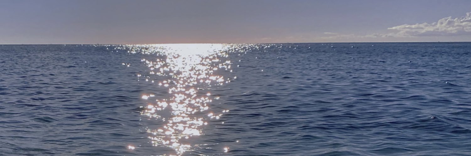 LZRGLU's profile banner image