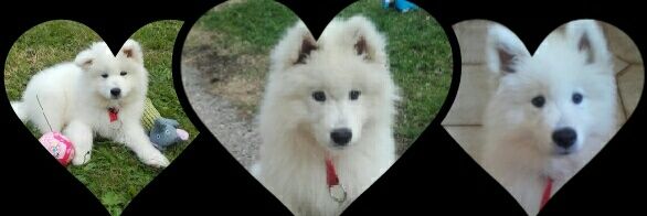 NatashaMccann4's profile banner image
