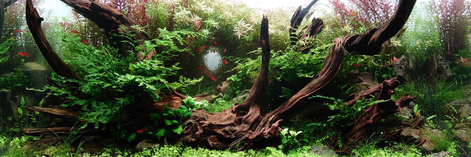 et_wil凜紅kii_ビカクカクシダシダ banner