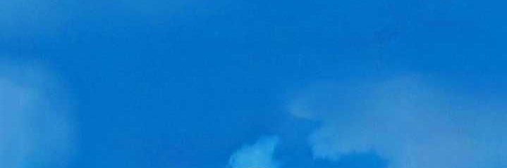 …. banner