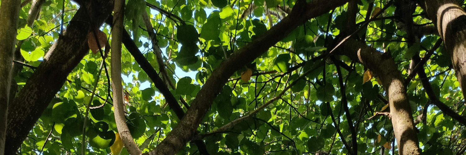 PM950617's profile banner image