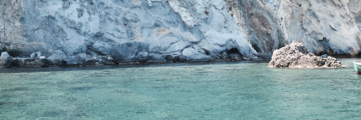 Simone Morani banner