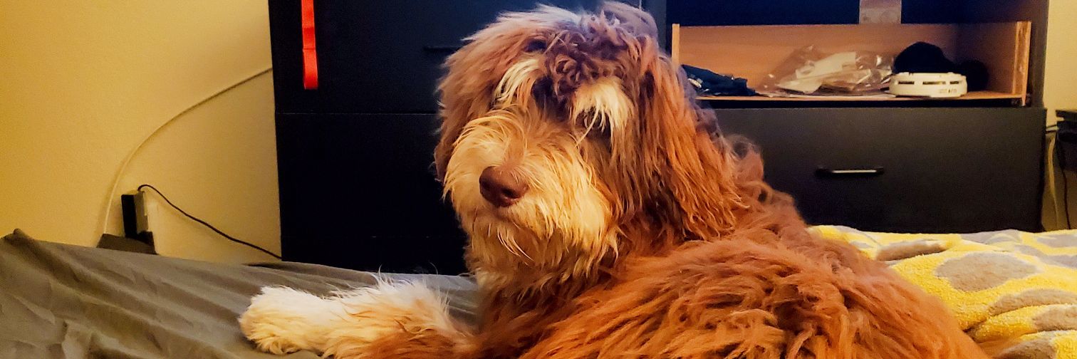 bigbrentw's profile banner image