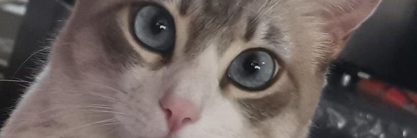 MirellMB's profile banner image