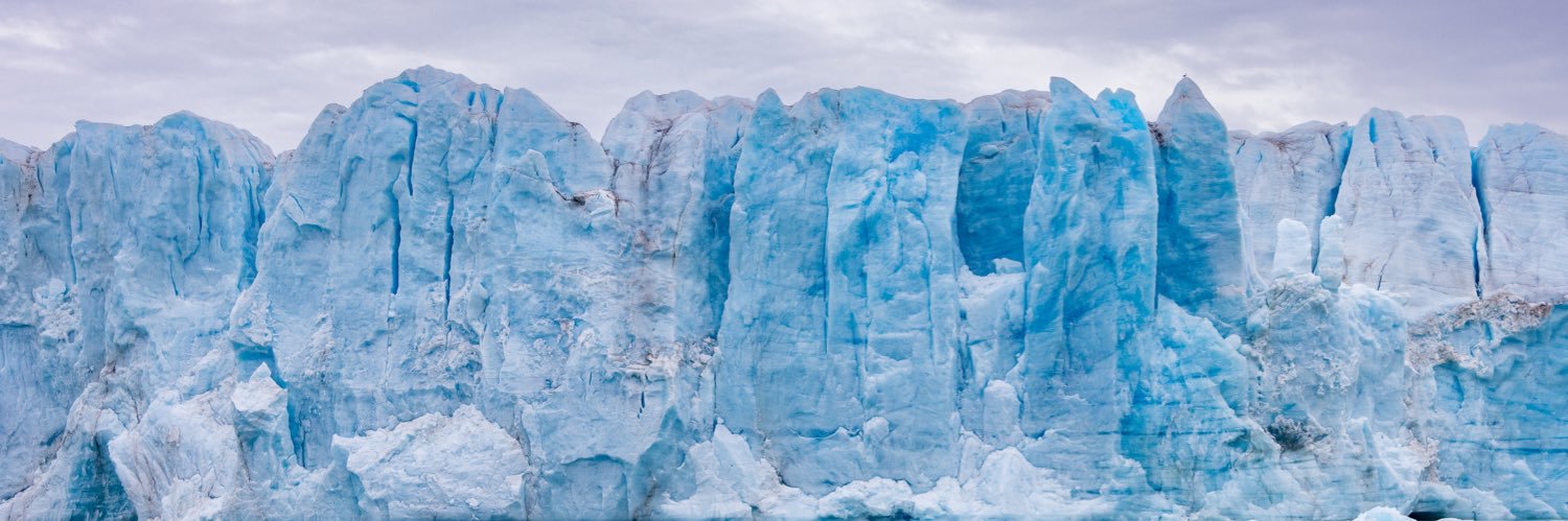 Ashleigh Scully banner