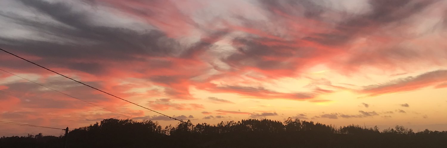 Lorenzzogui's profile banner image