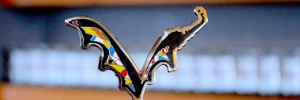 FlyingDogTaps's profile banner image