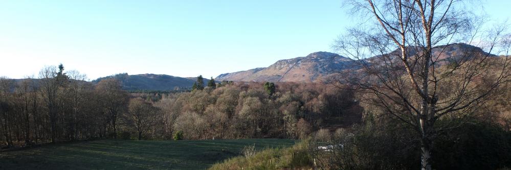 human in the loop banner