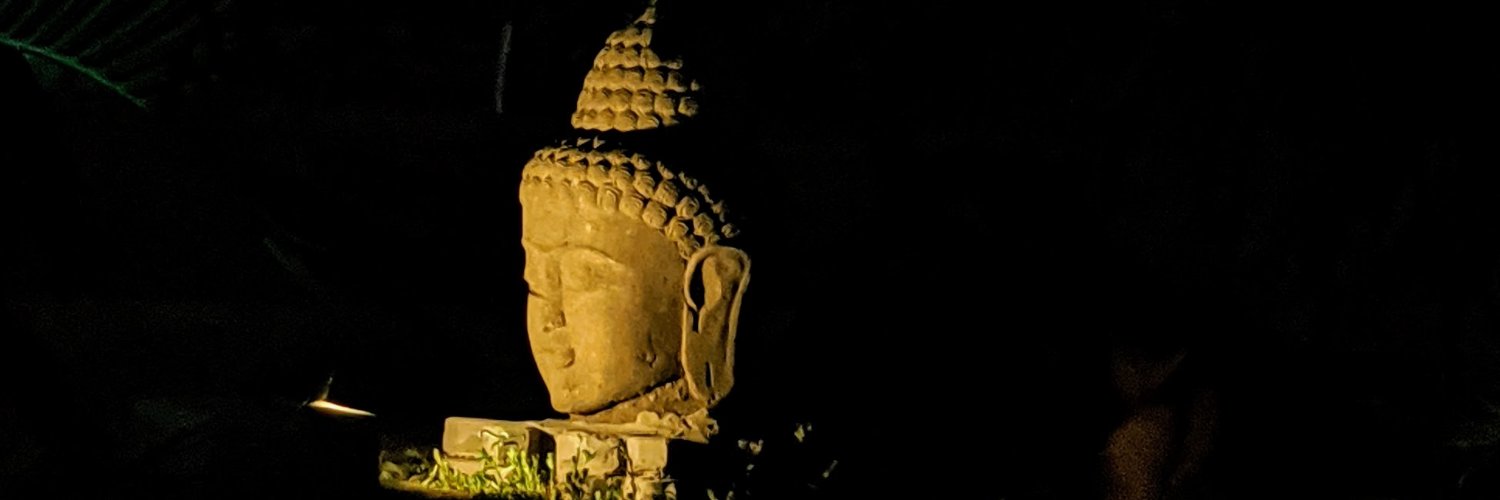 prritinarain's profile banner image