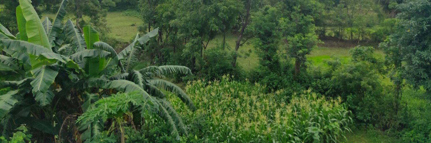 panddiji's profile banner image
