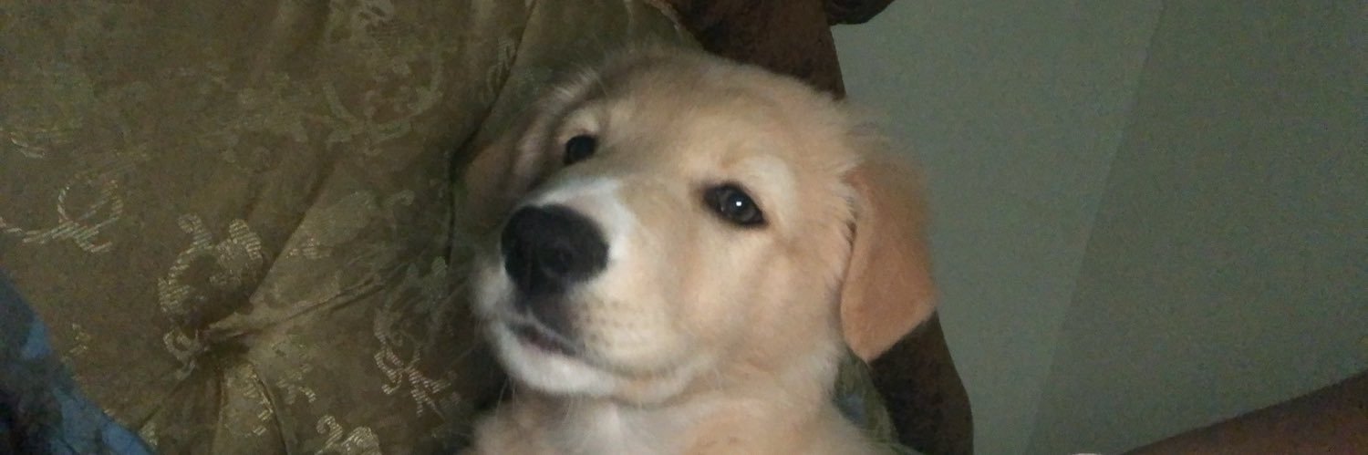 justin_thmas's profile banner image