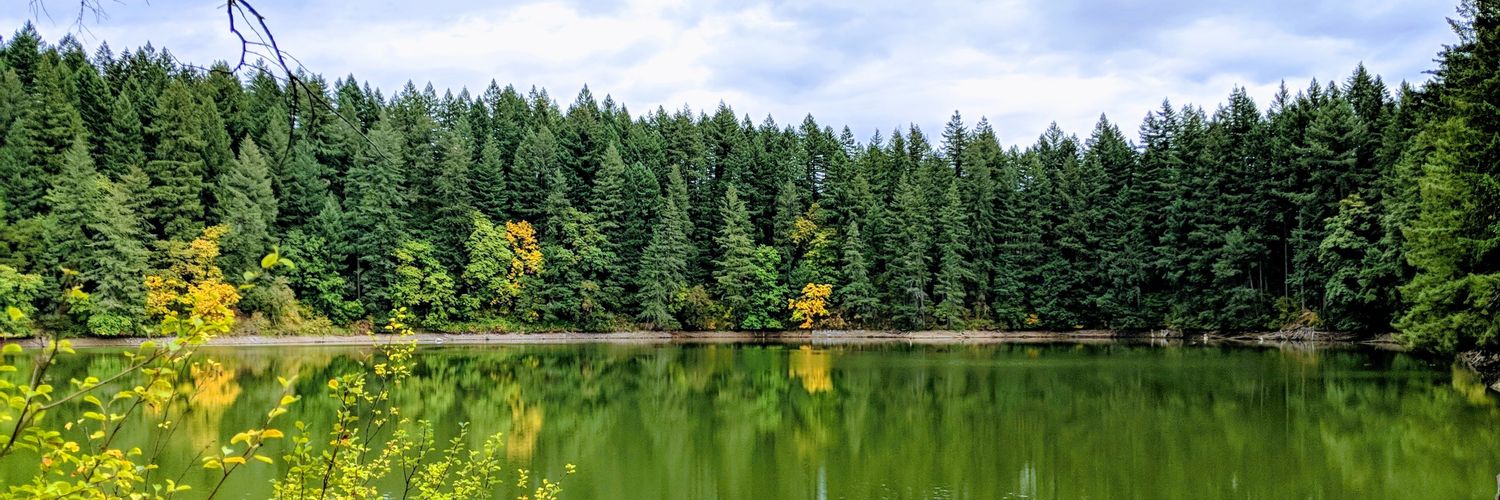 Michele Dwiggins banner