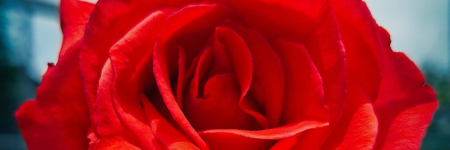 ratriys's profile banner image