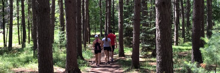 erin_diem's profile banner image