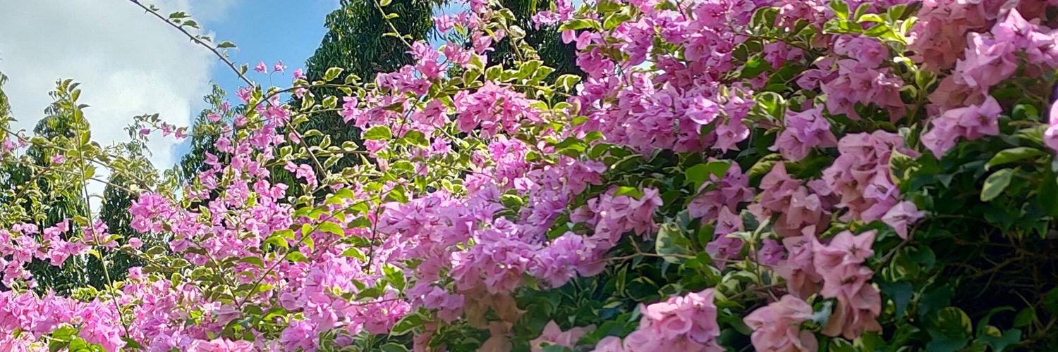 lukreng_'s profile banner image