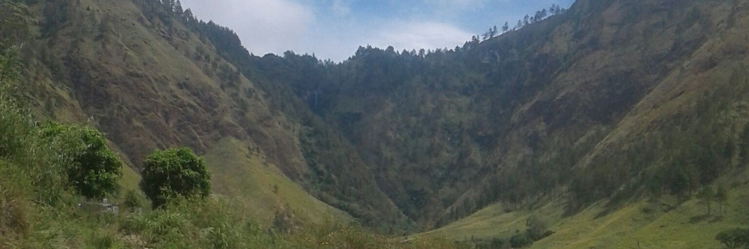 Edowart_Sitorus's profile banner image