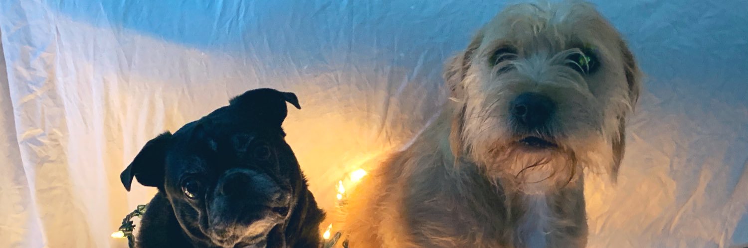 Zacarias 🦚 🇺🇸 banner