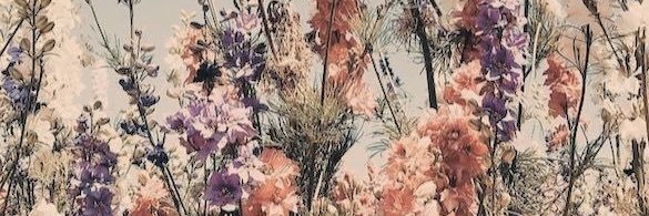 Meetan244's profile banner image