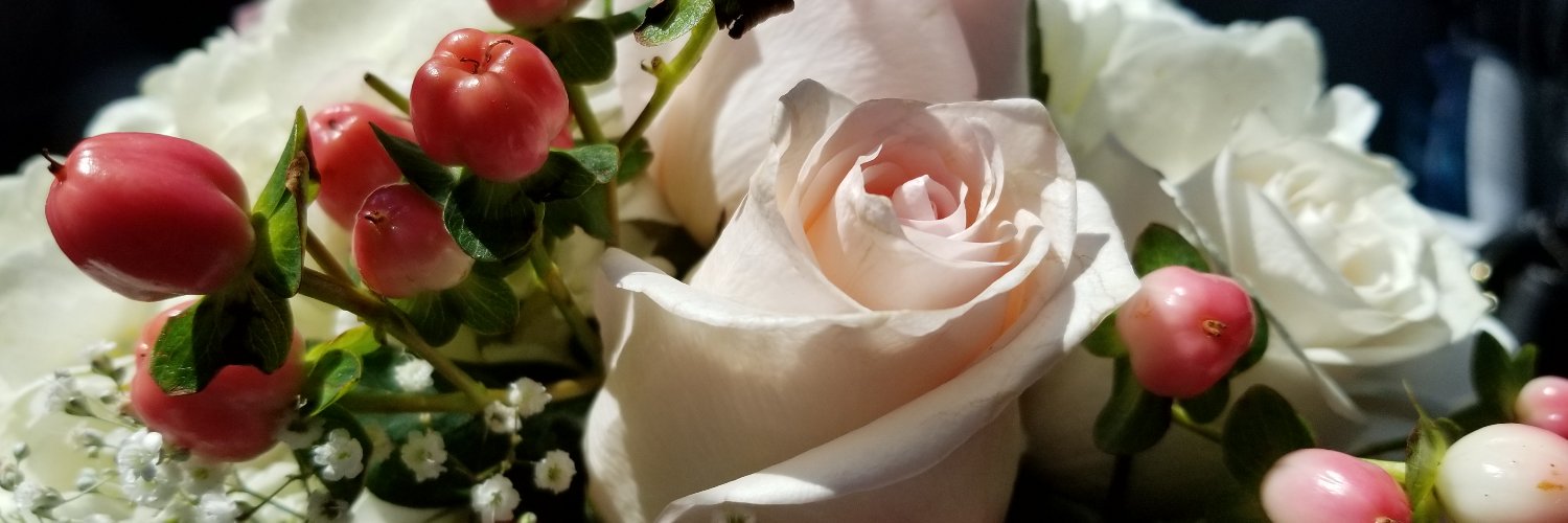 nrrodrig1's profile banner image