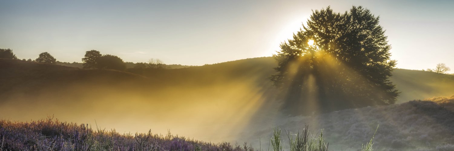 gemeenteRheden's profile banner image