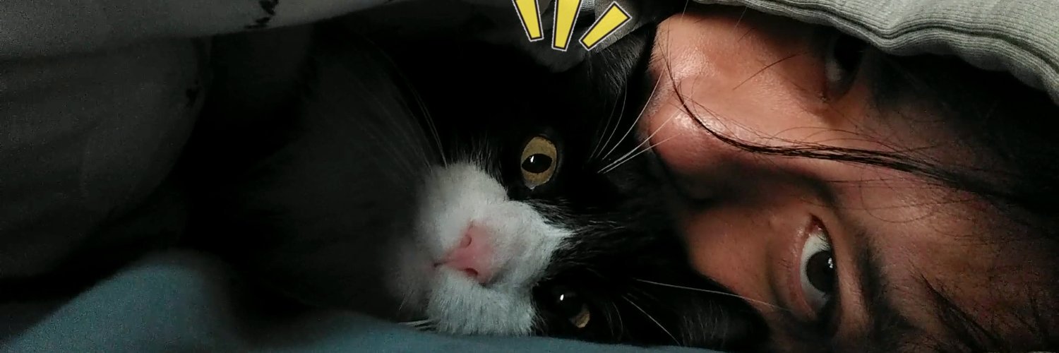 Synkwan's profile banner image
