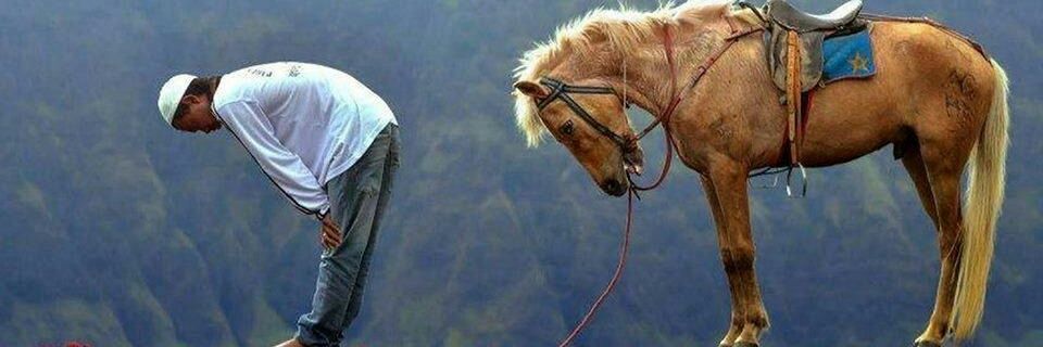 arshad6306's profile banner image