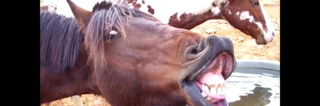 Something Something banner