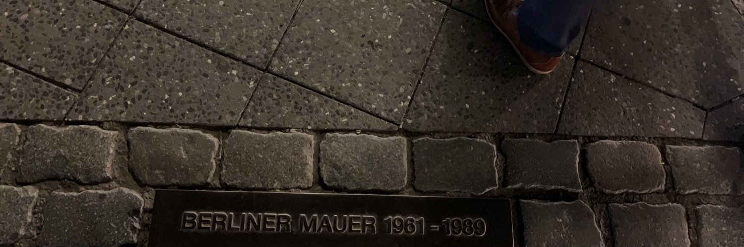 Constanze Stelzenmüller's banner