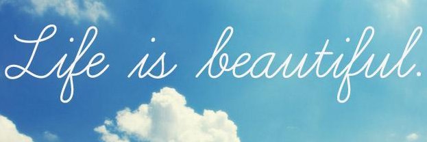 brightfighter1 banner