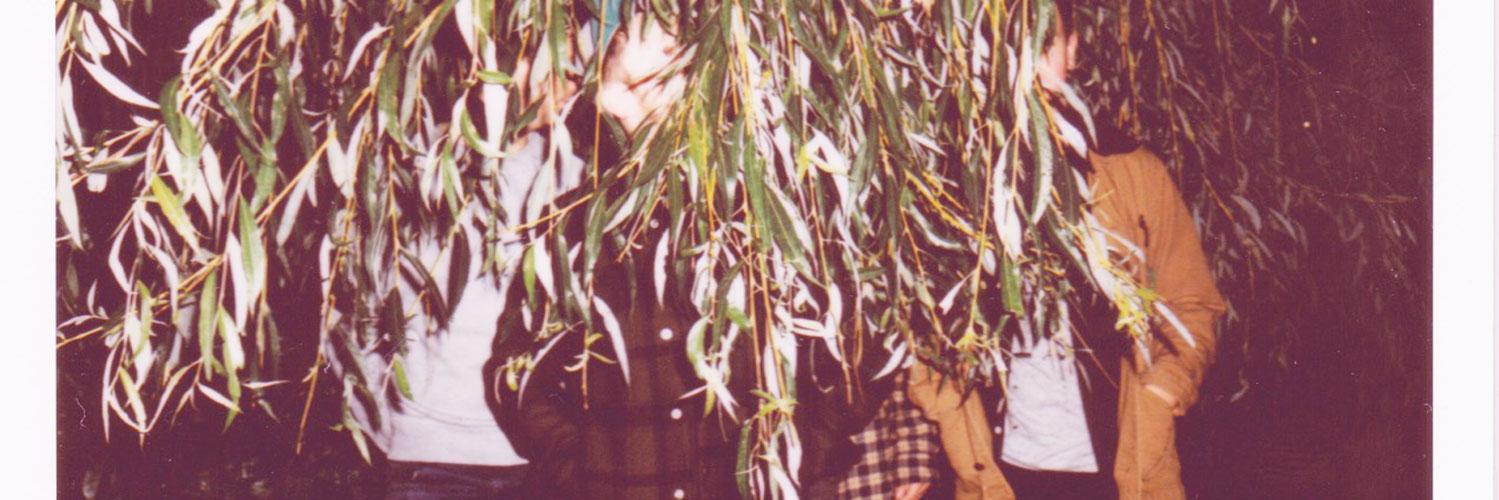 stillweeks's profile banner image