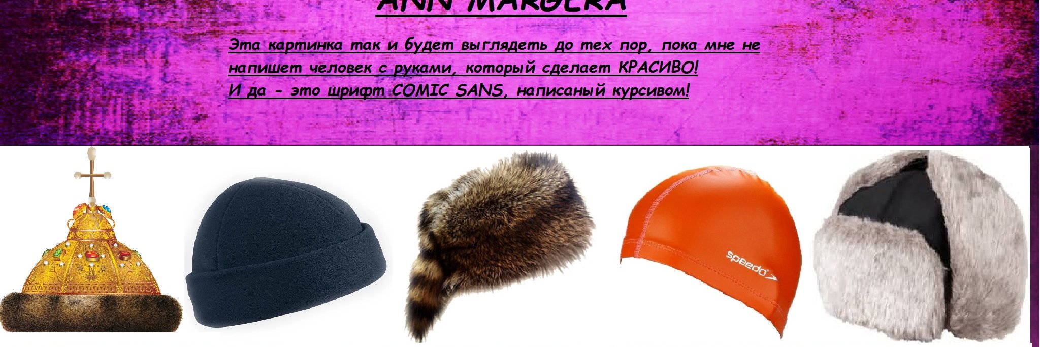 Ann_Margera's profile banner image