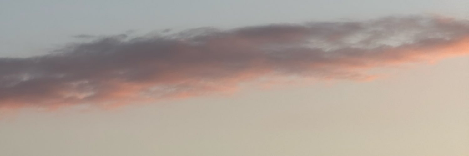 urlilacsky's profile banner image