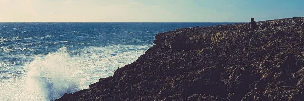 Rocsaurus's profile banner image